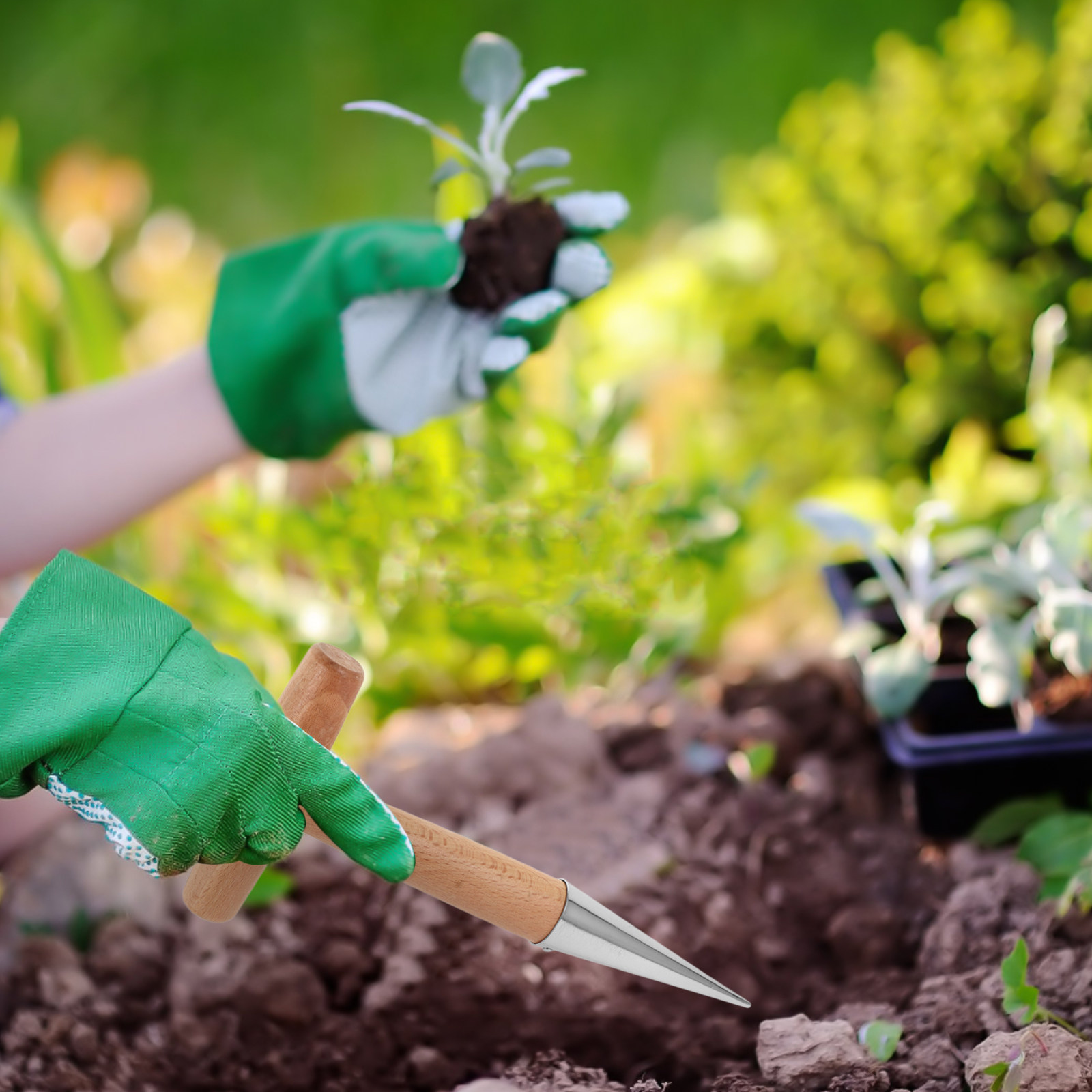 قطعتان من أدوات زراعة النباتات - مراجعة Vegetable Transplanter وسعره