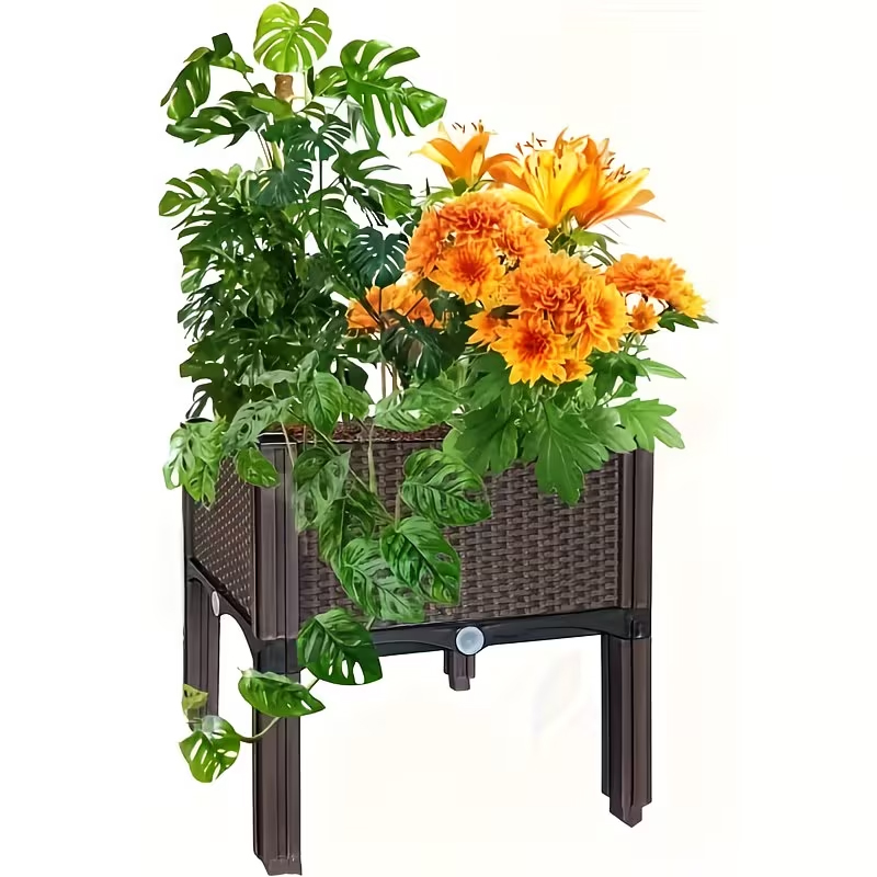 حوض زراعة مرتفع بأرجل بتأثير ا - مراجعة Vegetable Transplanter وسعره