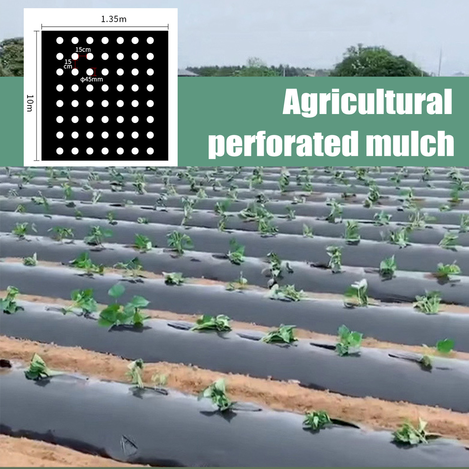فيلم تغطية مثقب من البولي إيثي - مراجعة Greenhouse Plastic Film وسعره