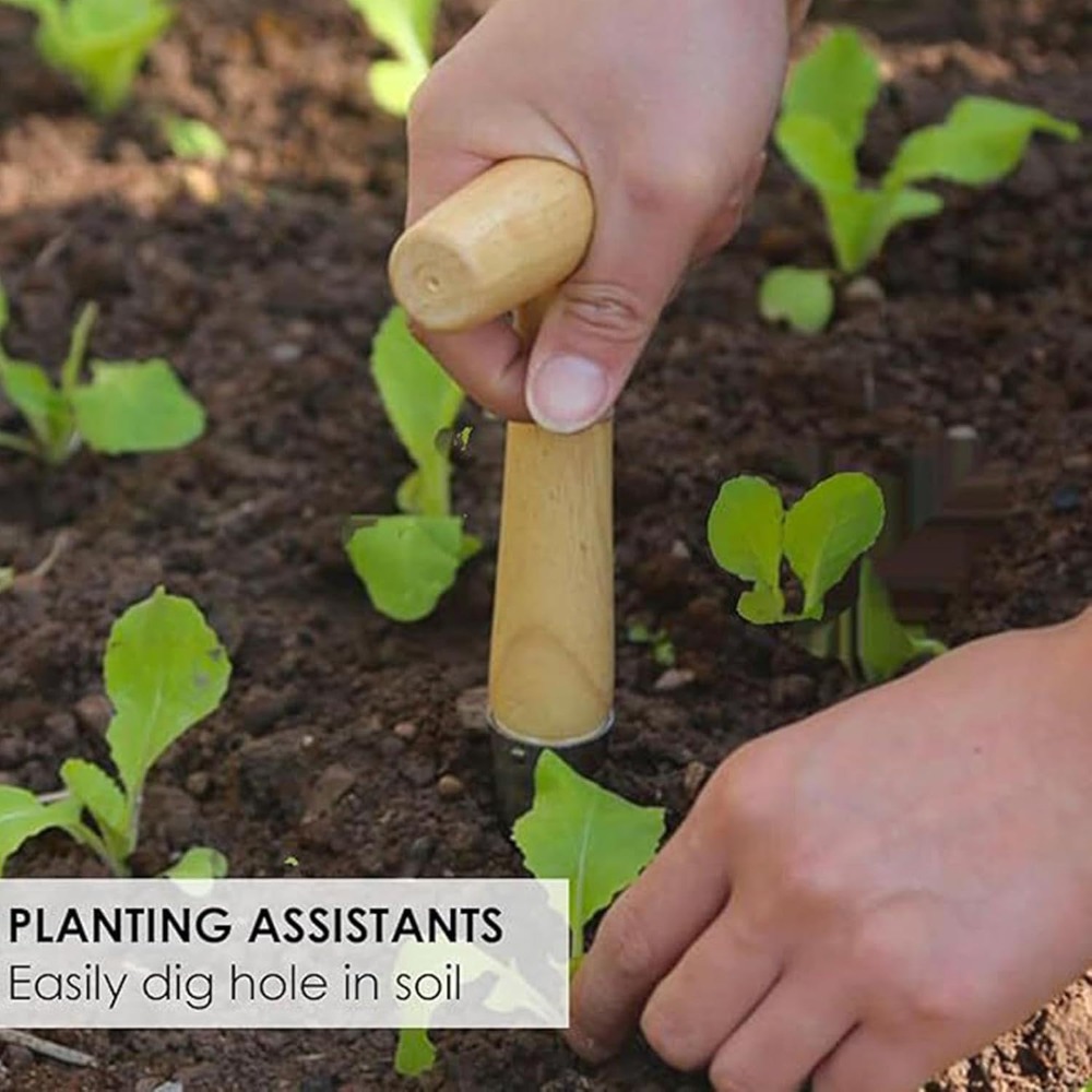 أداة زراعة شتلات الخضروات من ا - مراجعة Vegetable Transplanter وسعره