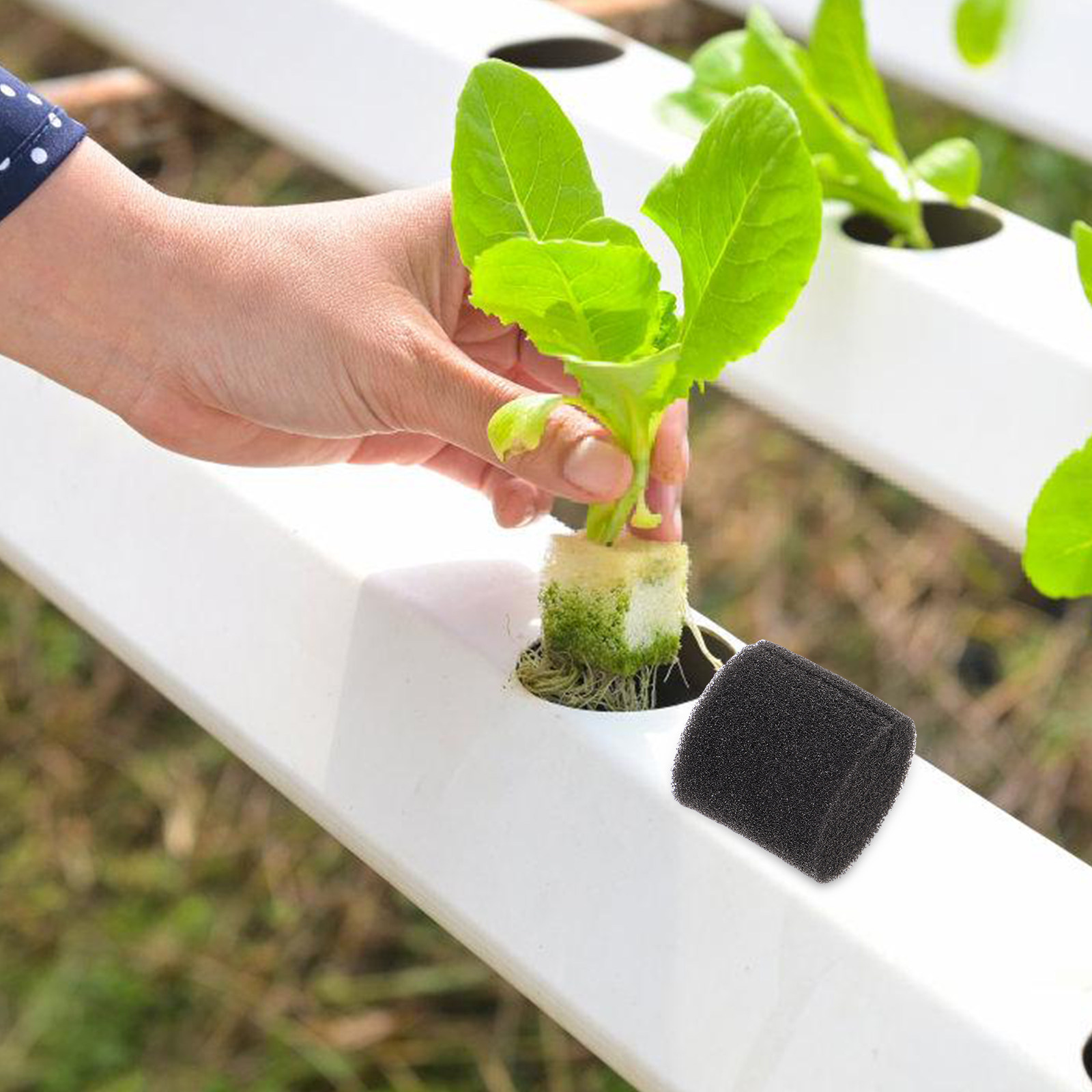 100 قطعة من الإسفنج للزراعة ال - مراجعة Vegetable Transplanter وسعره