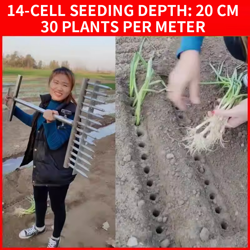 آلة زراعة البصل، آلة زراعة الأ - مراجعة Vegetable Transplanter وسعره