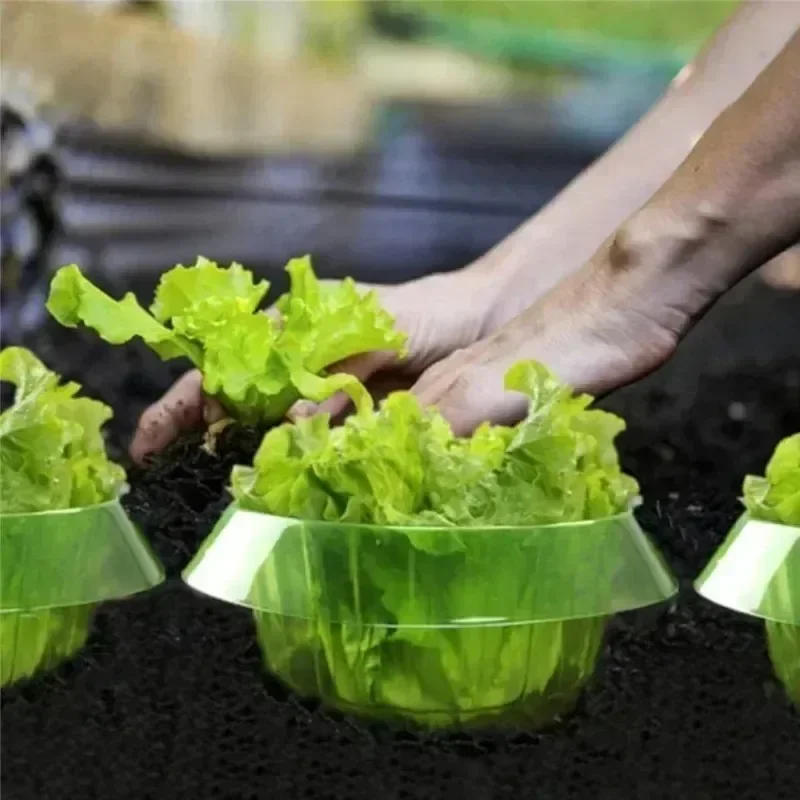 حلقات حماية سبيكة النباتات غطا - مراجعة Vegetable Transplanter وسعره