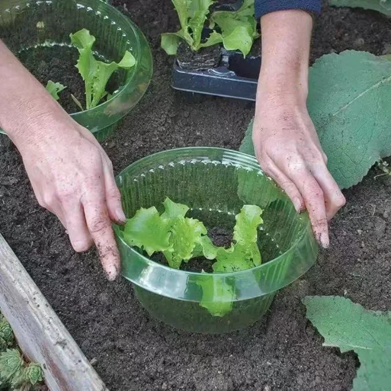 حلقات حماية سبيكة النباتات غطا - مراجعة Vegetable Transplanter وسعره
