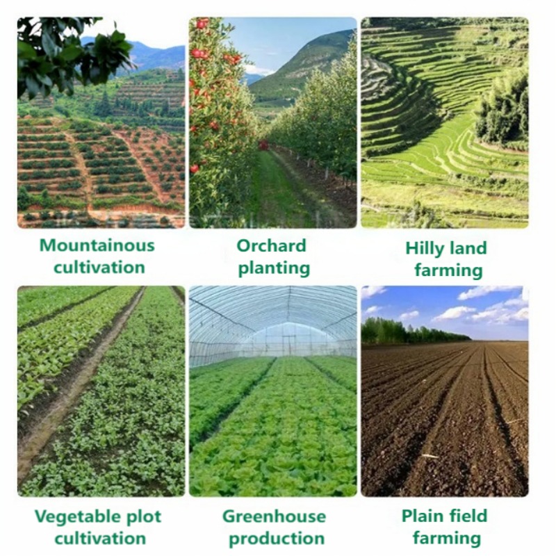 آلة بذر يدوية متعددة الصفوف لل - مراجعة Vegetable Transplanter وسعره