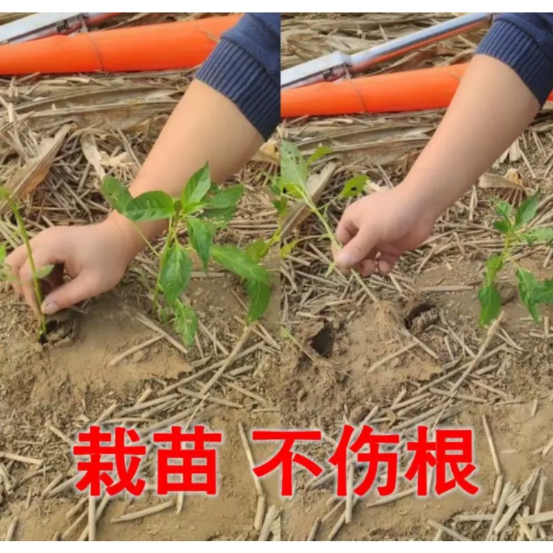 أداة زراعية لزراعة الشتلات في  - مراجعة Vegetable Transplanter وسعره