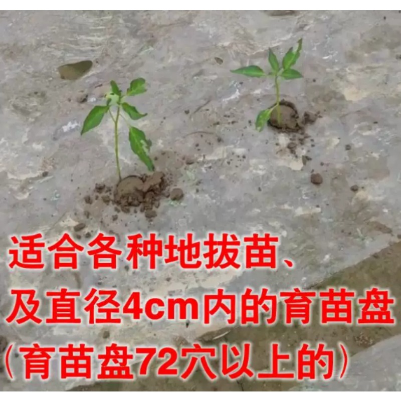 أداة زراعية لزراعة الشتلات في  - مراجعة Vegetable Transplanter وسعره