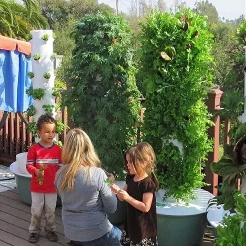 برج زراعة عمودي هيدروبوني للخض - مراجعة Vegetable Transplanter وسعره