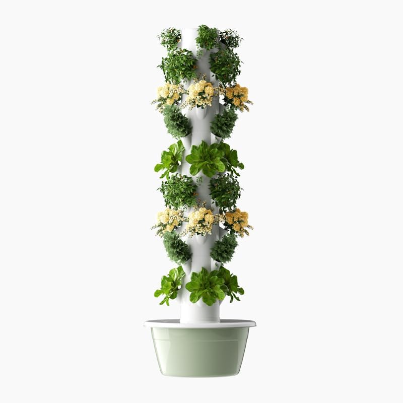 برج زراعة عمودي هيدروبوني للخض - مراجعة Vegetable Transplanter وسعره